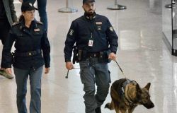 Roma, anziano sacerdote si perde tra i terminal dell'aereoporto di Fiumicino, ritrovato dalla Polizia