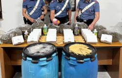Torvajanica, donna con il pollice verde per la marjuana, arrestata 56enne per detenzione e spaccio