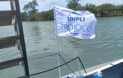 Unpli