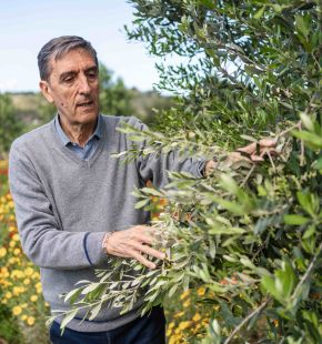 Dal 9 al 12 giugno 2025 presso il Palacongressi di Agrigento, Capitale Italiana della Cultura 2025.  1° Congresso di Agroecologia del Mediterraneo - AEMED 2025