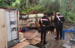 Roma, Labaro e Prima Porta, blitz dei Carabinieri in una baraccopoli, 17 persone denunciate, 1 arresto, sanzioni da 300 mila euro per furto di corrente