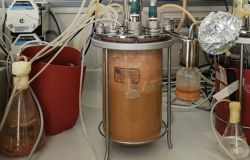 Coltivazione microbica in fermentatore