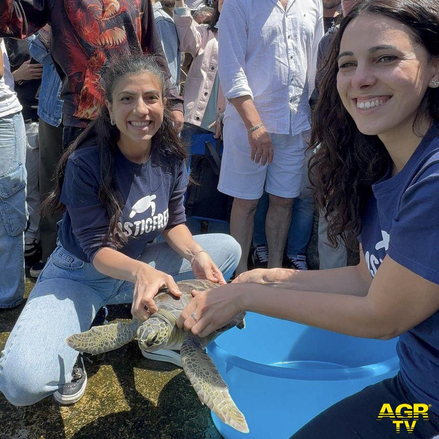 liberazione tartarughe plastic free nel mare di Castro liberazione tartarughe plastic free nel mare di Castro