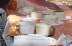 Preparazione prodotti caseari