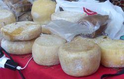 Prodotti caseari