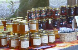 Produttori di miele