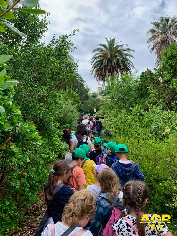The Moving Forest AND 2025 foto di Anna Di Paola The Moving Forest AND 2025 foto di Anna Di Paola