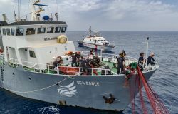 Sea Shepard Italia, recuperata una rete illegale di dieci km a largo di Catania