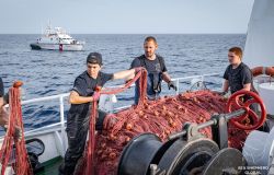 Sea Shepard recupero rete illegale di 10 Km