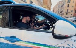 Roma, rapina un giovane in piazza San Marco, ma la vittima prima che si allontanasse gli scatta una foto, arrestato 19enne