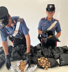 Anzio, fermato alla stazione di Lavinio indiano con una valigia piena di oppio, arrestato 66enne e sequestrati 2,3 kg. di droga
