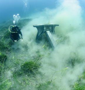 8 giugno, Giornata Mondiale degli Oceani, il WWF lancia l'allarme posidonia nel Mediterraneo 8 giugno, Giornata Mondiale degli Oceani, il WWF lancia l'allarme posidonia nel Mediterraneo