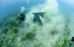 8 giugno, Giornata Mondiale degli Oceani, il WWF lancia l'allarme posidonia nel Mediterraneo