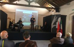 Fregene, i segreti della pineta monumentale