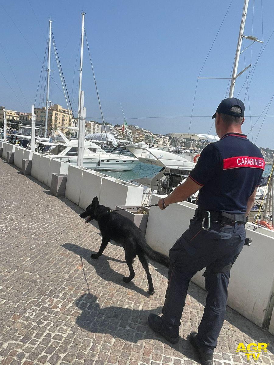 Anzio, controlli nell'area portuale, in manette spacciatore 50enne, 4 persone denunciate ed oltre 17 mila euro di sanzioni