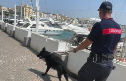 Anzio, controlli nell'area portuale, in manette spacciatore 50enne, 4 persone denunciate ed oltre 17 mila euro di sanzioni