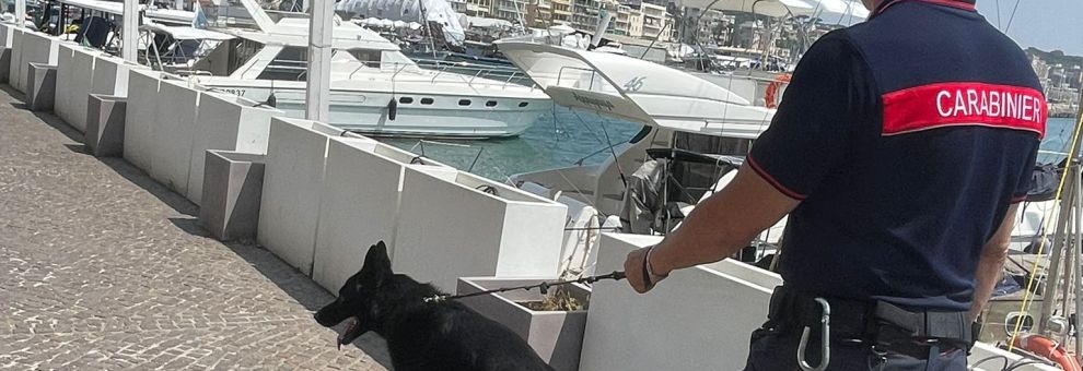 Anzio, controlli nell'area portuale, in manette spacciatore 50enne, 4 persone denunciate ed oltre 17 mila euro di sanzioni