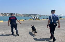 Carabinieri Anzio controlli area portuale con unità cinofile