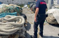Carabinieri Anzio controlli area portuale con unità cinofile