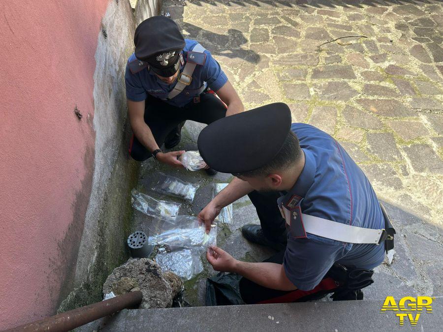 Carabinieri recuperano la droga nei nascondigli in un giardino Carabinieri recuperano la droga nei nascondigli in un giardino