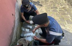 Roma, retata di pusher dei Carabinieri, 35 arresti per droga nei quartieri della città