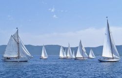 La regata a Punta Ala foto Maccione