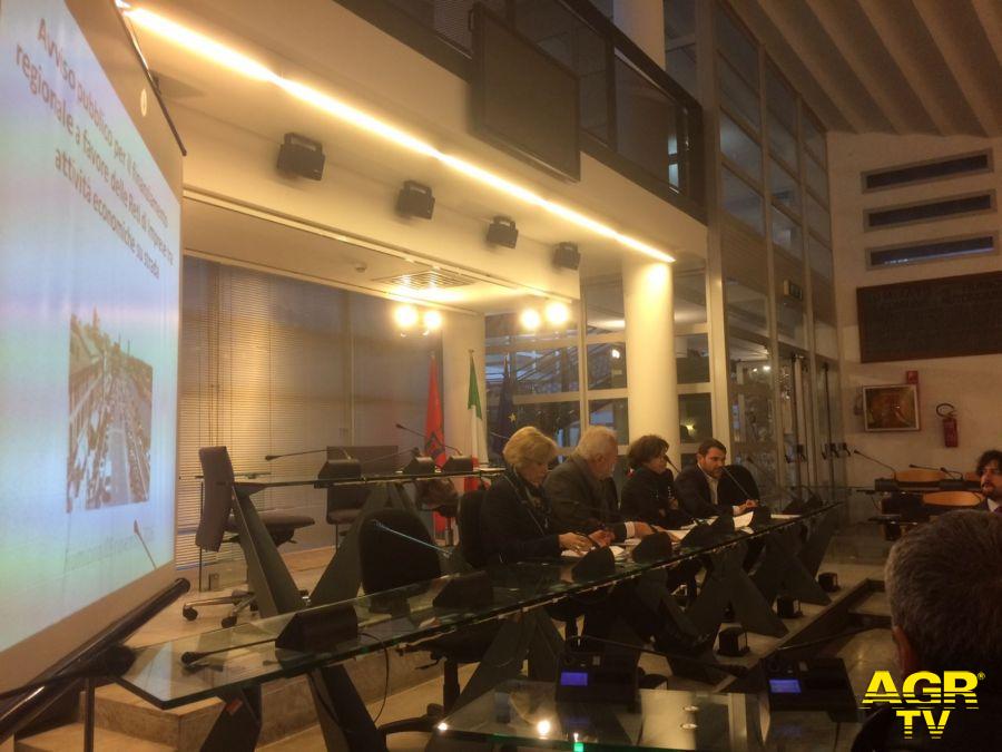 Fiumicino, il comune parteciperà al bando per le reti d'impresa Fiumicino, il comune parteciperà al bando per le reti d'impresa
