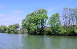 Ostia antica e il suo fiume_ ph. Chm Lipu