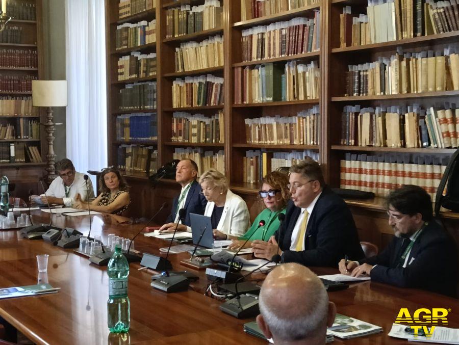 La conferenza stampa associazioni ASSO.IMPRE.DI.A. e ASSOVERDE La conferenza stampa associazioni ASSO.IMPRE.DI.A. e ASSOVERDE