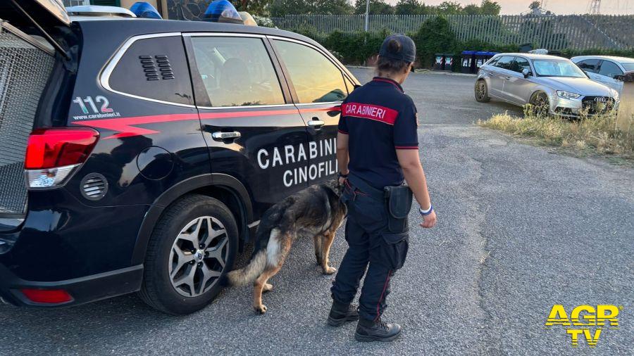 Carabinieri Ardea servizi con unità cinofile Carabinieri Ardea servizi con unità cinofile