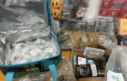 Roma, 16 kg di droga tra hashish, marjuana e sigarette elettroniche nel frigo, mentre in salone giocava una bimba, arrestato 42enne