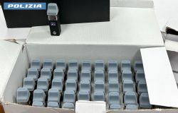 Polizia droga sequestrata Alessandrino