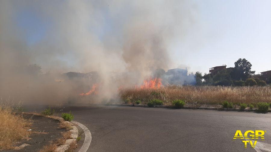 Incendio a Dragoncello: sterpaglie in fiamme tra via Ubaldini e viale Fra' Andrea di Giovanni Incendio a Dragoncello: sterpaglie in fiamme tra via Ubaldini e viale Fra' Andrea di Giovanni
