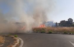 Incendio a Dragoncello: sterpaglie in fiamme tra via Ubaldini e viale Fra' Andrea di Giovanni
