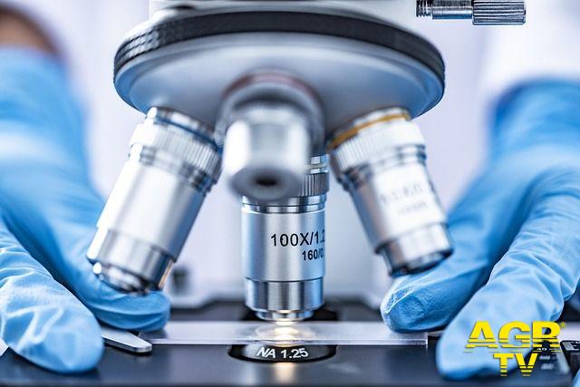 laboratorio chimico analisi foto pixabay