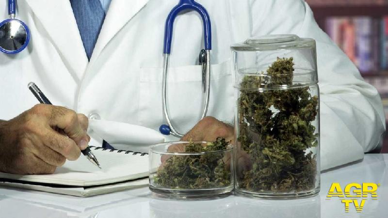 Cannabis terapeutica, ora è più facile