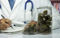 Cannabis terapeutica, ora è più facile