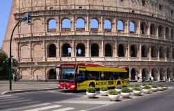 Roma, i bus si tingono di giallo per il 110° anniversario di Moscot, l'iconico brand d'occhiali newyorkese