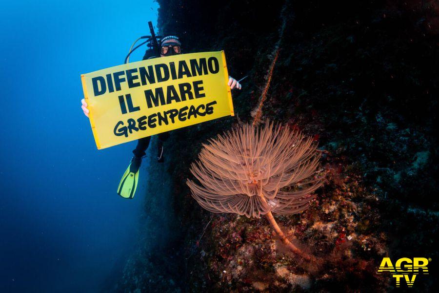 Greenpeace foto da comunicato stampa