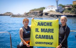 Mare Caldo campagna Greenpeace