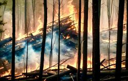 Lavoro: UNICOOP firma il  Protocollo Nazionale sui rischi climatici