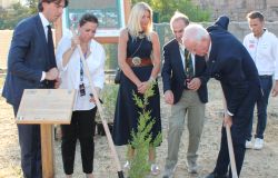 XIII Rally Roma Capitale, Ogni pilota pianterà un albero per compensare le emissioni inquinanti delle gare automobilistiche