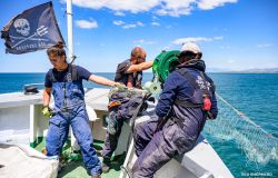 Shephard rimozione rete da pesca illegale
