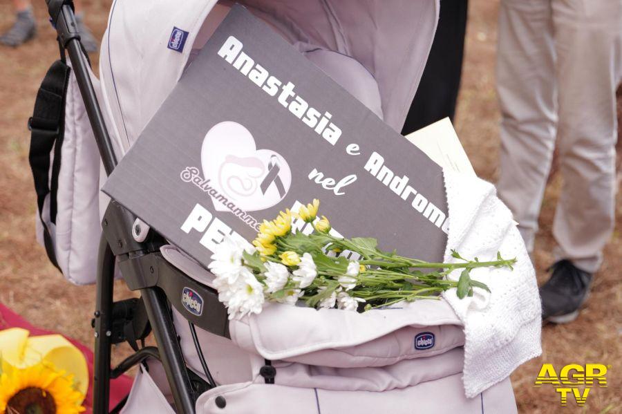passeggino per anastasia e andromeda passeggino per anastasia e andromeda
