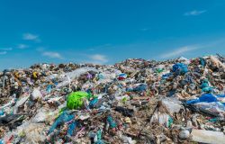 Ecomafie, nel Lazio aumentano i reati del 20,5%, oltre 2 mila in un anno pari a 7.2 al giorno