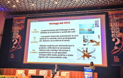 PDTA Sclerosi Sistemica Lazio, un documento che contiene i più avanzati approcci della medicina di prossimità
