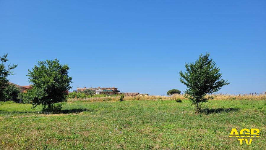 Acilia Nord il Comitato di Quartiere continua lo sfalcio del Parco dei Monti di San Paolo - immagine da pagina facebook del Comitato
