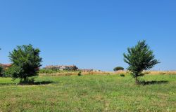 Acilia Nord: il Comitato di Quartiere continua la lotta contro il degrado al Parco dei Monti di San Paolo