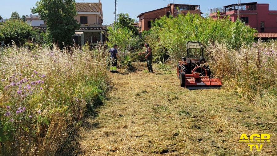 il Comitato di Quartiere Acilia Nord 2018 è tornato a operare per la tutela e la sicurezza ambientale del territorio - immagine da pagina facebook del Comitato