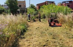 il Comitato di Quartiere Acilia Nord 2018 è tornato a operare per la tutela e la sicurezza ambientale del territorio - immagine da pagina facebook del Comitato